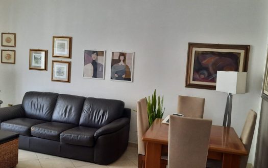 VENDESI APPARTAMENTO VIA PERRONE CAPANO, 28