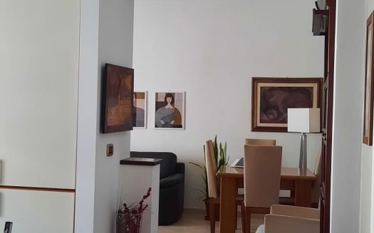 VENDESI APPARTAMENTO VIA PERRONE CAPANO, 28