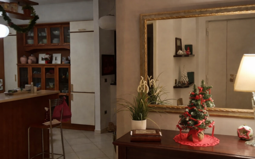 VENDESI APPARTAMENTO VIA PERRONE CAPANO, 28