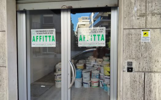 AFFITTASI LOCALE VIA MALCANGI, 28