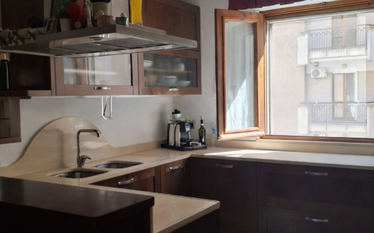 VENDESI APPARTAMENTO VIA PERRONE CAPANO, 28