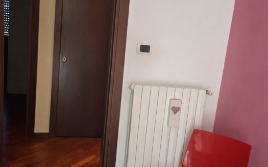 VENDESI APPARTAMENTO VIA PERRONE CAPANO, 28