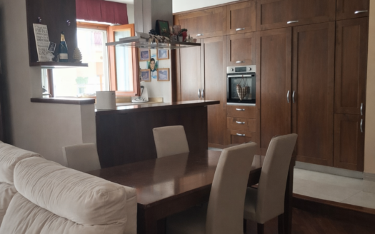 VENDESI APPARTAMENTO VIA PERRONE CAPANO, 28