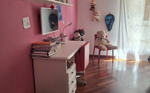 VENDESI APPARTAMENTO VIA PERRONE CAPANO, 28