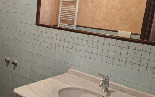 VENDESI APPARTAMENTO VIA PERRONE CAPANO, 28