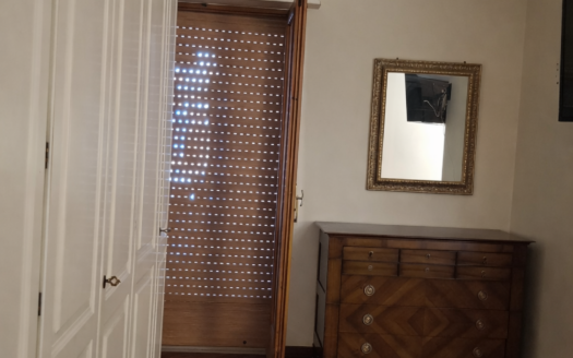 VENDESI APPARTAMENTO VIA PERRONE CAPANO, 28