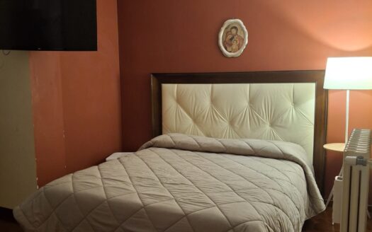 VENDESI APPARTAMENTO VIA PERRONE CAPANO, 28