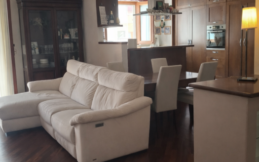 VENDESI APPARTAMENTO VIA PERRONE CAPANO, 28