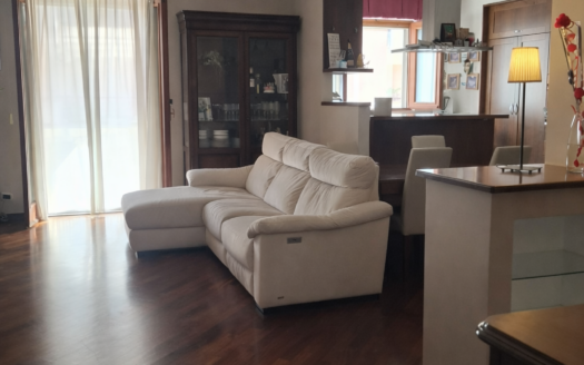 VENDESI APPARTAMENTO VIA PERRONE CAPANO, 28