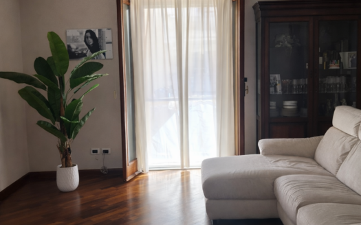 VENDESI APPARTAMENTO VIA PERRONE CAPANO, 28