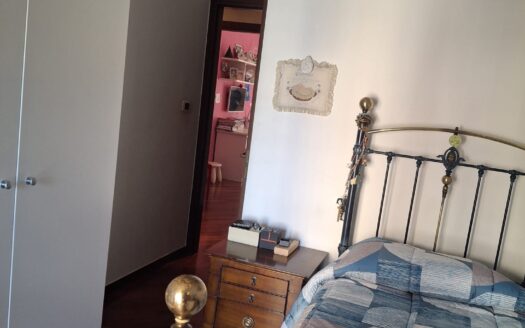 VENDESI APPARTAMENTO VIA PERRONE CAPANO, 28