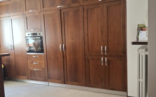 VENDESI APPARTAMENTO VIA PERRONE CAPANO, 28