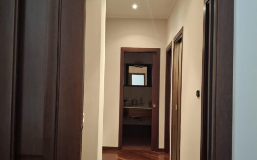 VENDESI APPARTAMENTO VIA PERRONE CAPANO, 28