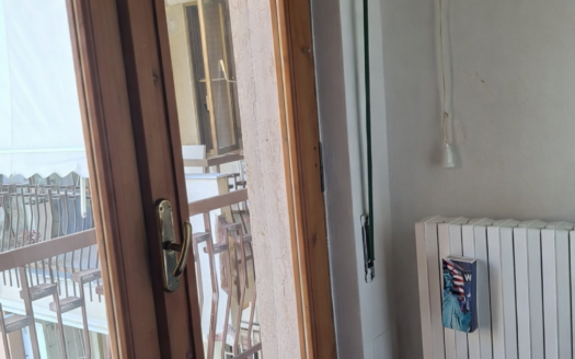 VENDESI APPARTAMENTO VIA PERRONE CAPANO, 28