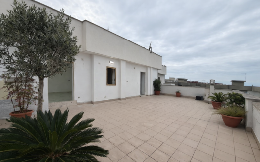 VENDESI ATTICO VIALE EUROPA, 61