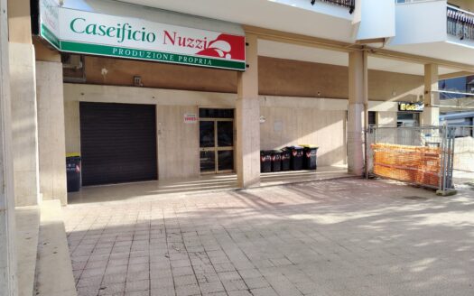 VENDESI APPARTAMENTO VIA POZZO PIANO, 7