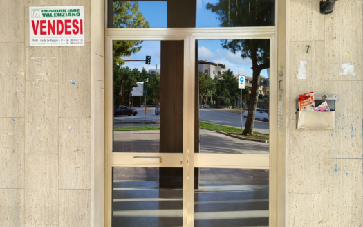 VENDESI APPARTAMENTO VIA POZZO PIANO, 7