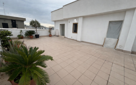 VENDESI ATTICO VIALE EUROPA, 61