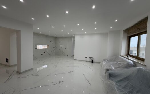 VENDESI ATTICO VIALE EUROPA, 61