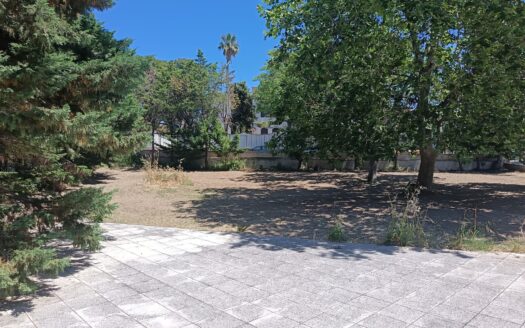 AFFITTASI LOCALE VIA MALCANGI ANGOLO VIA VENEZIA