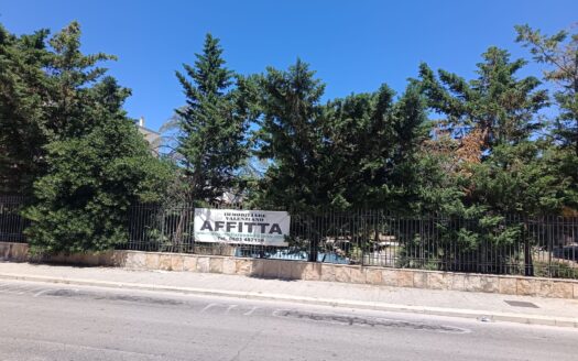 AFFITTASI LOCALE VIA MALCANGI ANGOLO VIA VENEZIA