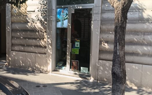 AFFITTASI LOCALE CORSO VITTORIO EMANUELE, 169