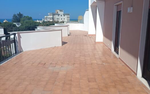 VENDESI APPARTAMENTO VIA MALCANGI ANGOLO VIA POZZO PIANO